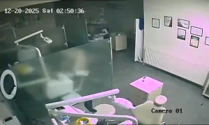 Caméra IP - Georgien