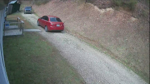 Caméra IP - Vereinigte Staaten von Amerika