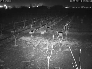 Caméra IP - Turquie