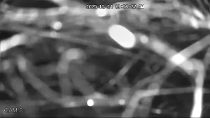 Caméra IP - Venezuela