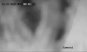 Caméra IP - Spanien