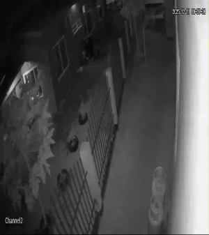 Caméra IP - Suriname