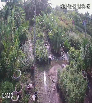 Caméra IP - Vietnam