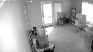 Caméra IP - États-Unis d'Amérique