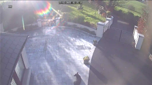 Caméra IP - Irlanda