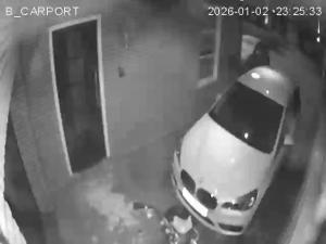 Caméra IP - Netherlands