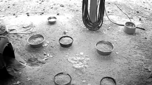 Caméra IP - États-Unis d'Amérique