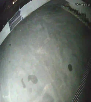 Caméra IP - Südafrika