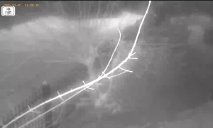 Caméra IP - Lituanie