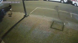 Caméra IP - Vietnam