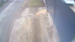 Caméra IP - Ucrania