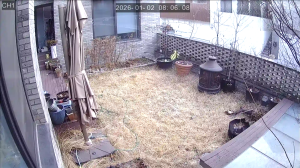 Caméra IP - Südkorea