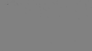 Caméra IP - Hongrie