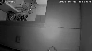 Caméra IP - Russische Föderation