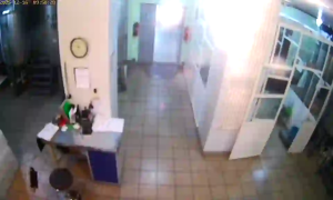 Caméra IP - Russian Federation