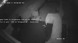 Caméra IP - Alemania