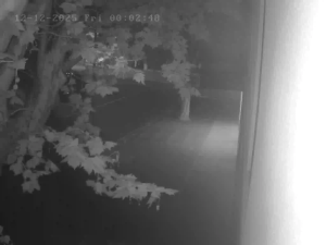 Caméra IP - Australien