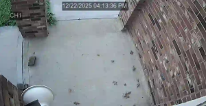 Caméra IP - Estados Unidos