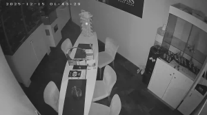 Caméra IP - Niederlande