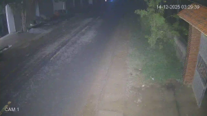 Caméra IP - Vietnam