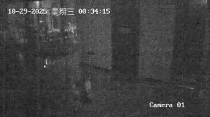 Caméra IP - Chine