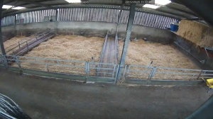 Caméra IP - Ireland