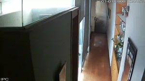 Caméra IP - Argentina