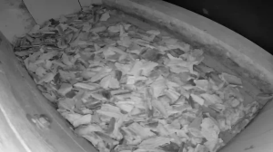 Caméra IP - Allemagne