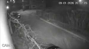 Caméra IP - Bulgaria