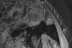 Caméra IP - South Korea