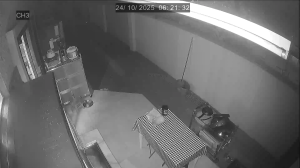 Caméra IP - Singapur