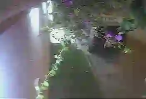 Caméra IP - Arabia Saudita