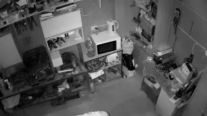 Caméra IP - Ucrania