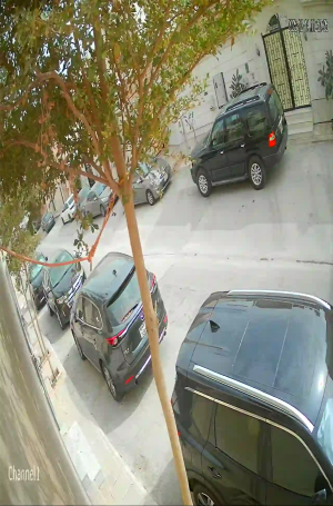 Caméra IP - Saudi Arabia