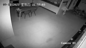 Caméra IP - China