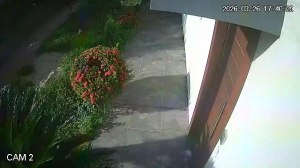 Caméra IP - Bolivien