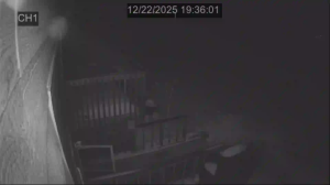 Caméra IP - Canadá