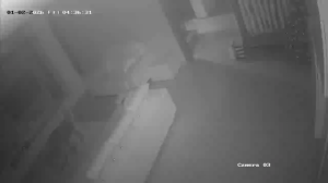 Caméra IP - Malaysia