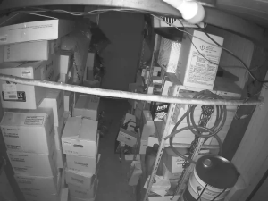 Caméra IP - South Korea