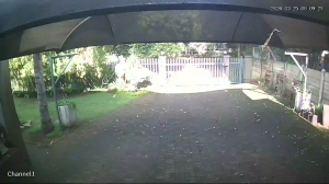 Caméra IP - South Africa