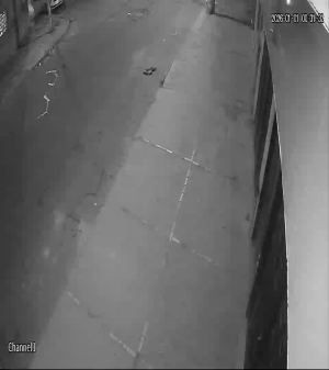 Caméra IP - Colombia