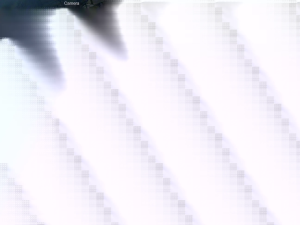 Caméra IP - United States of America