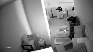 Caméra IP - South Korea