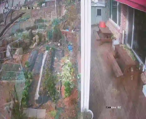 Caméra IP - Corée du Sud