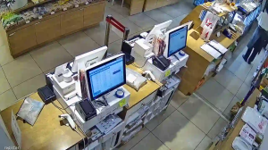 Caméra IP - Japon