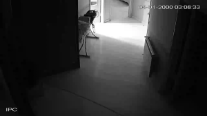 Caméra IP - Azerbaijan