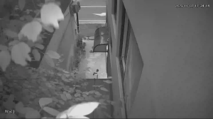 Caméra IP - South Korea