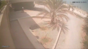 Caméra IP - United Arab Emirates