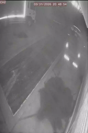 Caméra IP - Corea del Sud