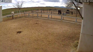 Caméra IP - Espagne